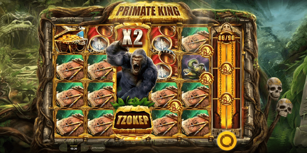 Boni und Symbole des Spielautomaten Primate King
