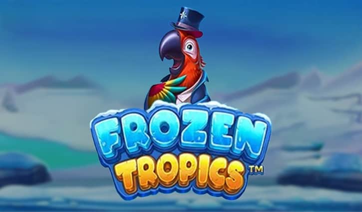 Revue des Frozen Tropics